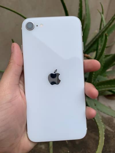 Iphone SE 2020 64GB 10/10 non pta All okay full original