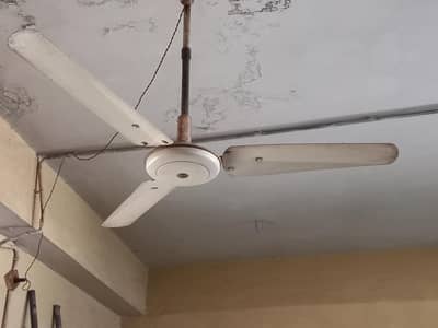Ceiling Fan 56in