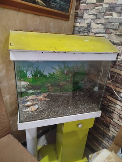 Fish Aquarium