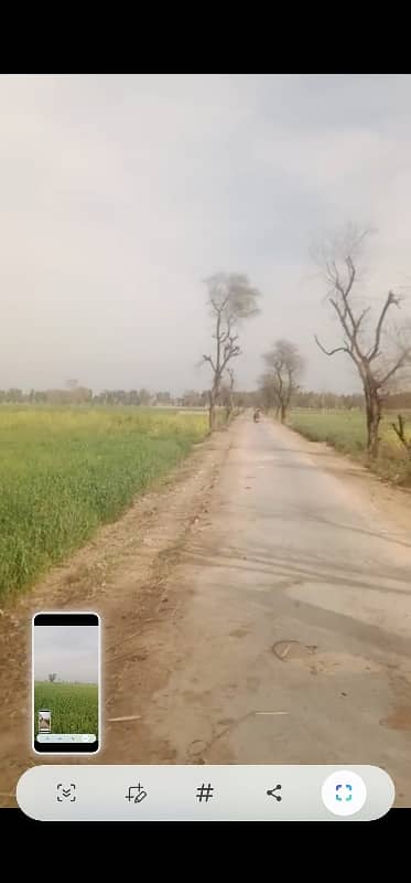 beautiful land for sale 50 acer bahawalnagar
