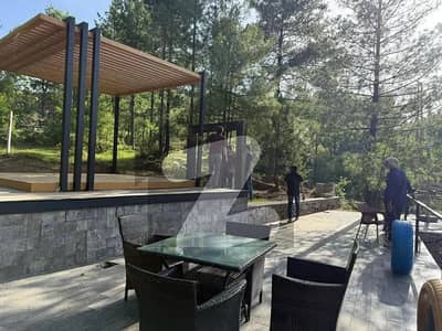 Flat Of 2684 Square Feet Available For sale In Nathia Gali