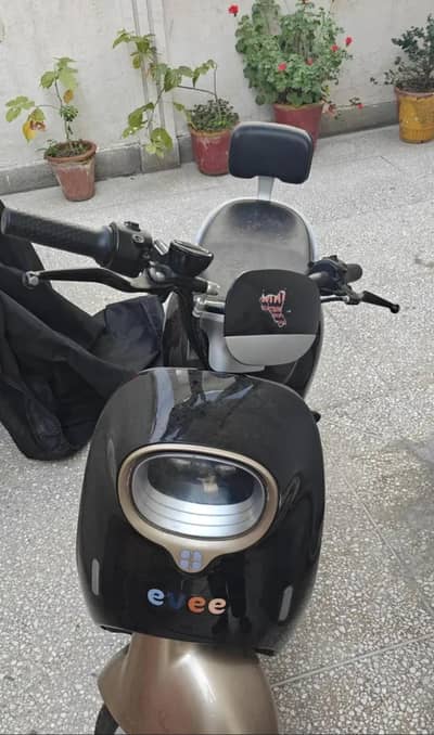 evee nisa for urgent sale