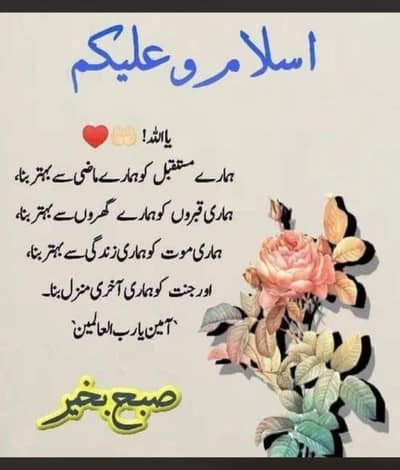 Brown Carpet 750 square feet available for Sale