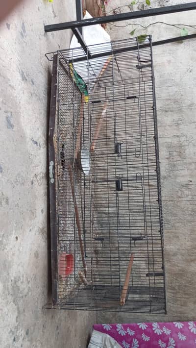 birds cages foldable