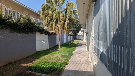 FOR RENT 2 Kanal Liveable Single Storey with Big Lawn 4Beds F_8/3