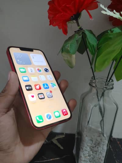 Apple iphone 13 mobile phone