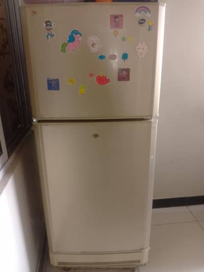 fridge in food condotion