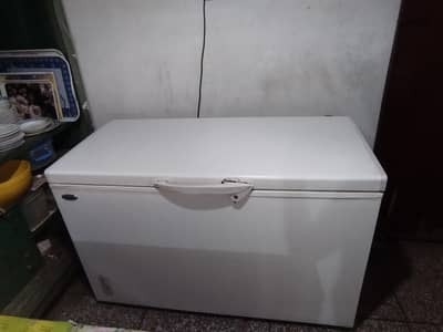 Waves Freezer in good condition