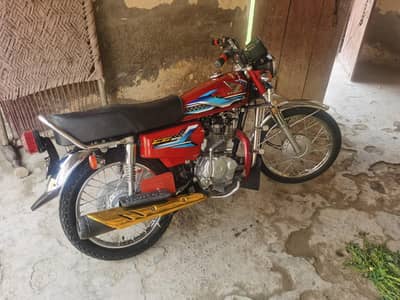 125.2024. model totl orignal ha