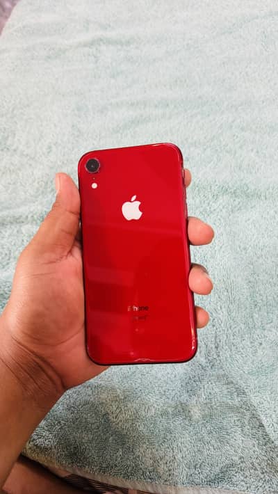 Iphone XR pta proved