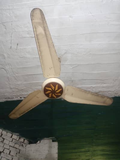 3 Ceiling Fans