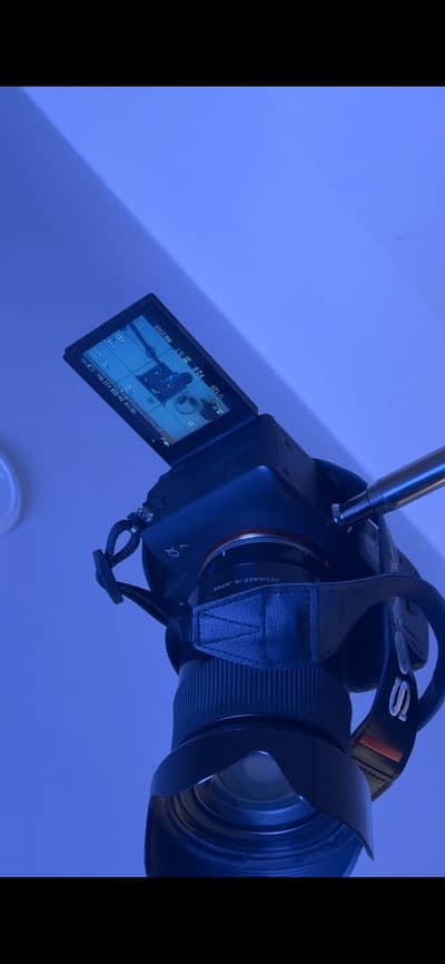 Tamron 24-70 g1 for sony e mount | absolute workhorse