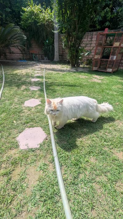 bahut zabardast get her appreciate hey is she Russian