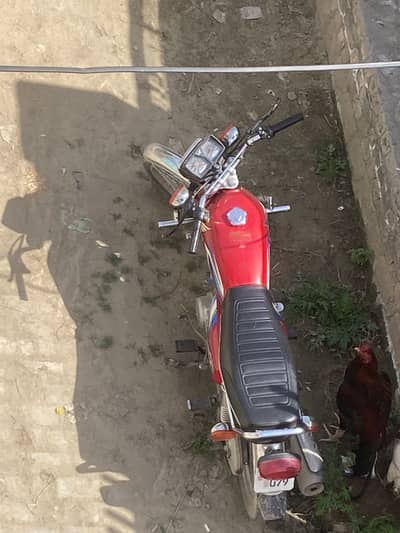 Honda 125 2022