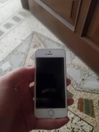 iPhone 5s Non Pta