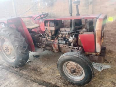 Messy Ferguson  2010