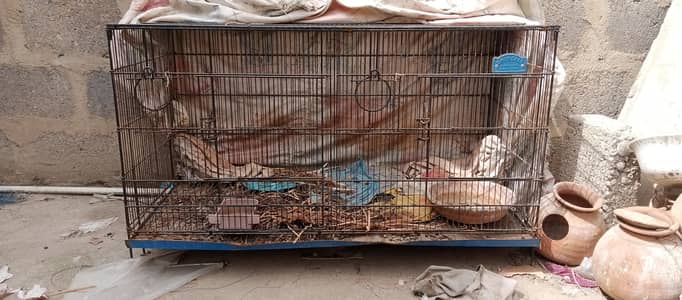 bird cage