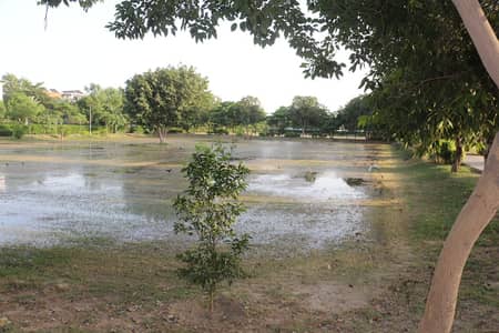 1 Kanal Residential Plot For Sale in IEP Engineers Town Lahore | Block F3 | Demand 1.90 Crore | Prime Location