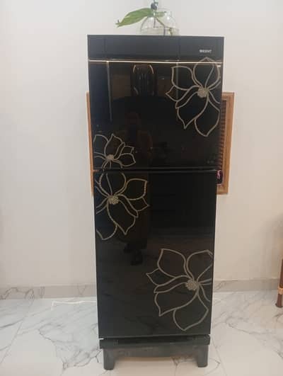 Orient Refrigerator Glass door 11CU Model (OR 5544 )