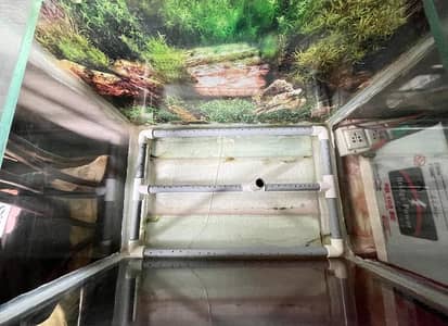 Aquarium With Accessories