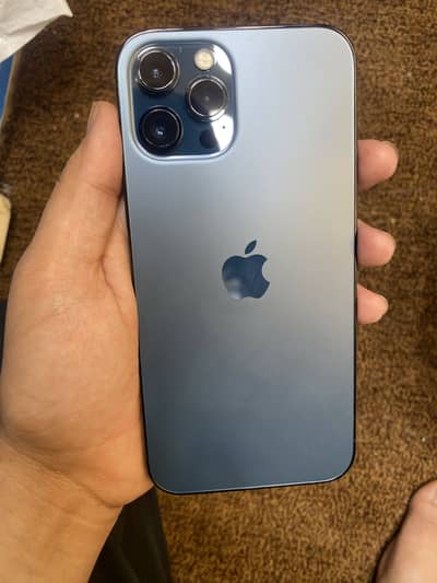 Iphone 12 pro max pta approved