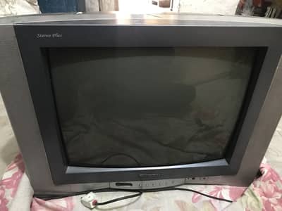 Nobel tv 19 inch bag zize