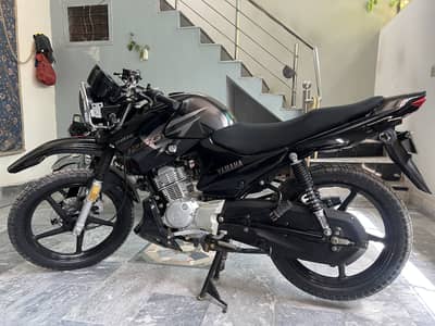 YAMAHA YBR 125 G Black Color 2019 Model geniun Condition