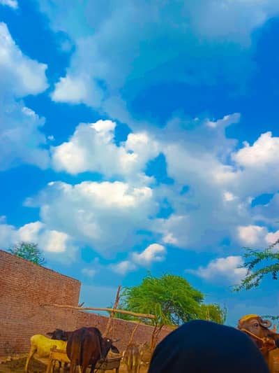 bike rider in Lahore