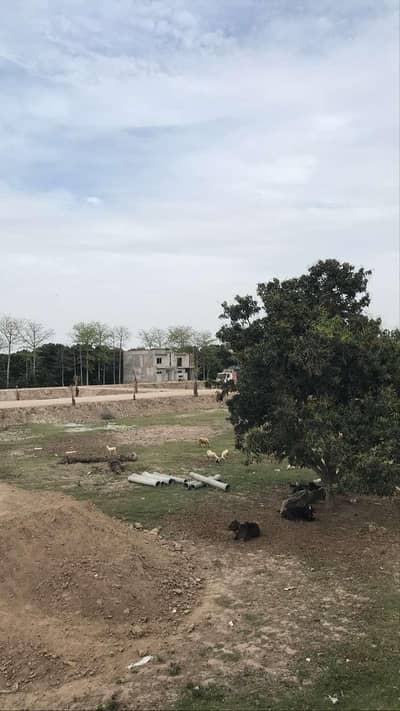 4 Marla Corner Plot for Sale in Buch Executive Villas