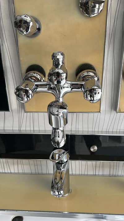 Washroom shower set Complete