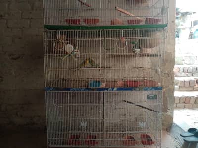 best hai har sal mein char se saat bar visit karta hai