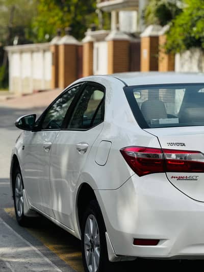 Altis 17 total gunine scrachless