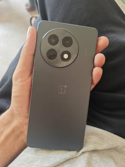 one plus 13 R 12+12/256