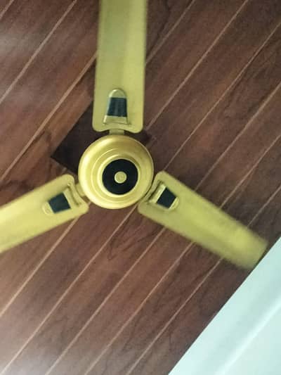 fan for sell