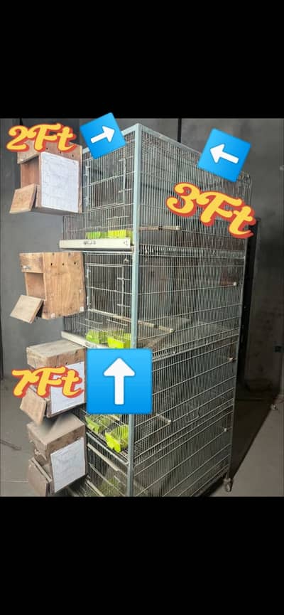 Parrot cages