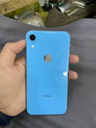iPhone XR