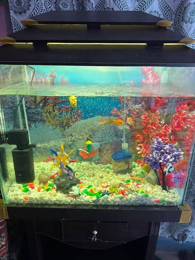 Aquarium with All  luggage