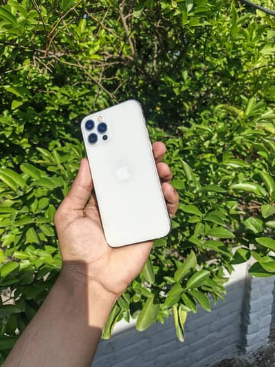 iphone 12 Pro White Total Genuine 128 GB