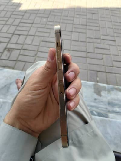 I phone 12 pro max