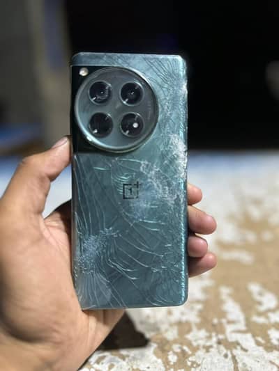 one plus 12 pta approved