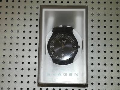 Skagen Sundby Midnight Leather Wrist Watch