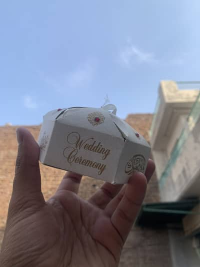 Bidh wali debi 200 pice