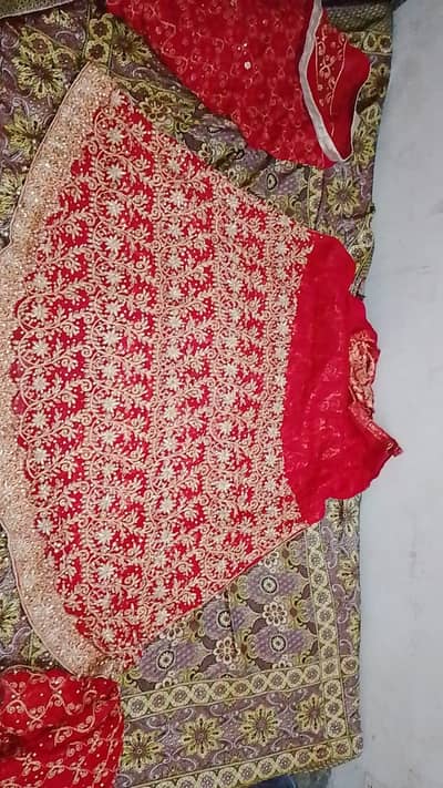 bridal red lehnga