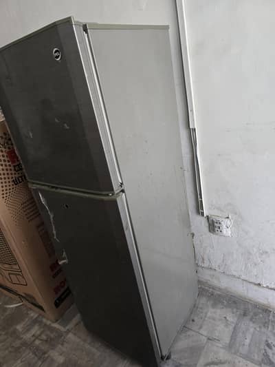 Pel fridge for sale