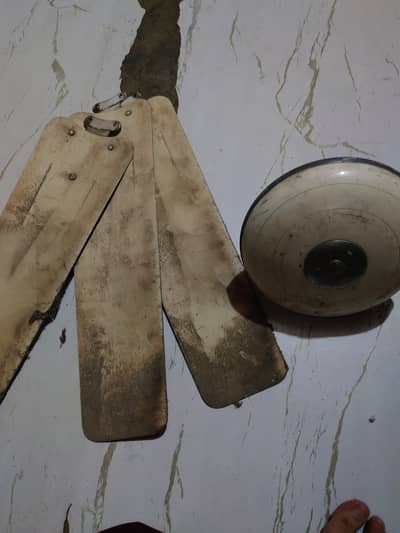 Pak pan chatt wala pankha