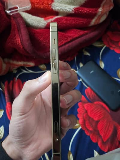 iphone 12 pro waterpack