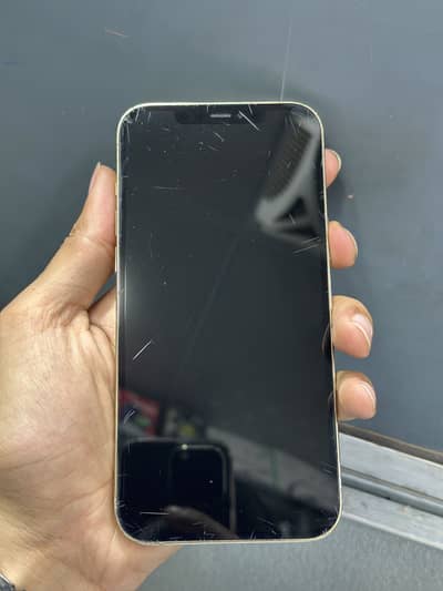 12 Pro Max PTA Approved