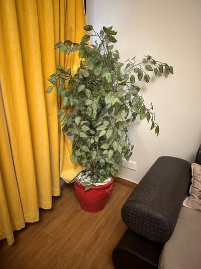Artificial plant for home decor