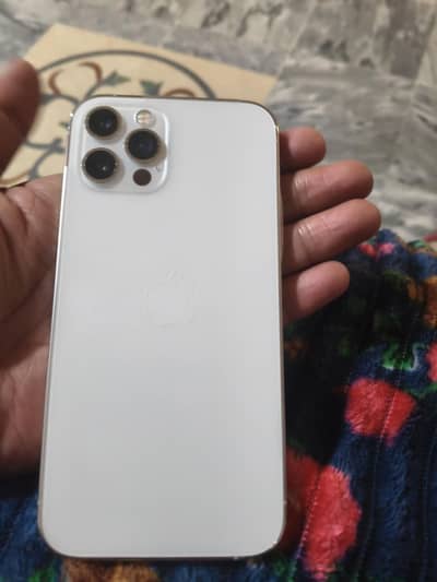 iphone 12 pro pta approved
