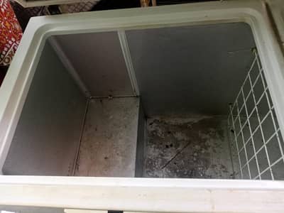 genuine condition hai